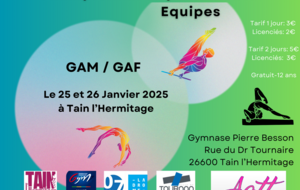 Compétition Départementale GAF/GAM Equipe 2025